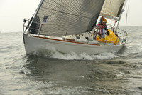 2015 Vineyard Race A 1706