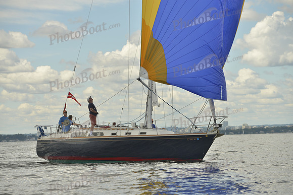 2016 Vineyard Race A_1128