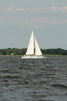 2011 Gov Cup A 1293