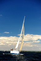 2014 Vineyard Race A 277