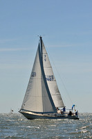 2014 Southern Bay Race Week D 376