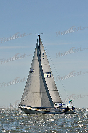 2014 Southern Bay Race Week D 376
