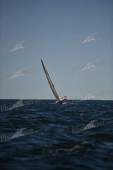 2021 Vineyard Race B 2579