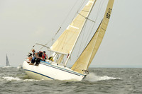 2015 Vineyard Race A 204