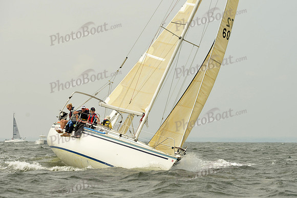 2015 Vineyard Race A 204