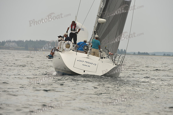 2016 Chester Race Week D_0463