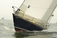 2015 Vineyard Race A 1200