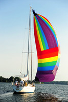 2015 Gov Cup D 142