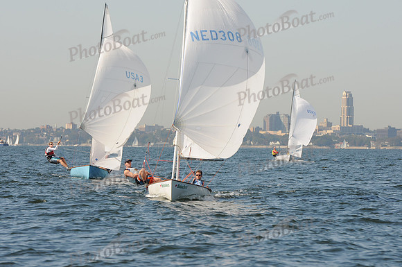 2011 HPDO A 376