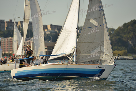 2015 NY Architects Regatta A 454