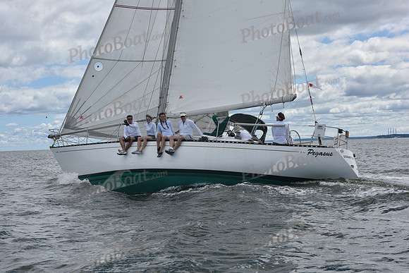 2021 Vineyard Race A 0295