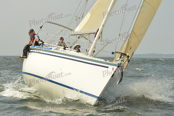 2015 Vineyard Race A 330