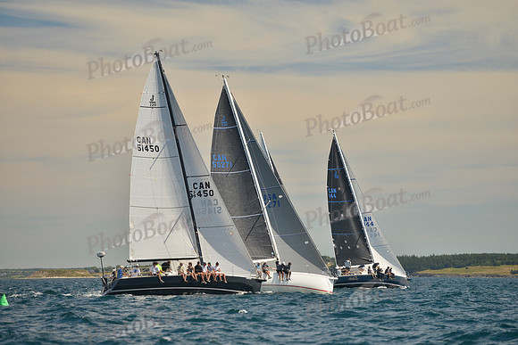 2016 Chester Race Week B_0055