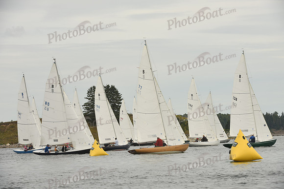 2016 Chester Race Week F_0161