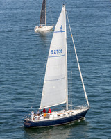 DBP_1262