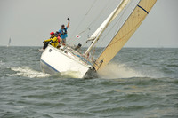 2015 Vineyard Race A 341