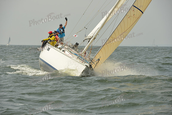 2015 Vineyard Race A 341