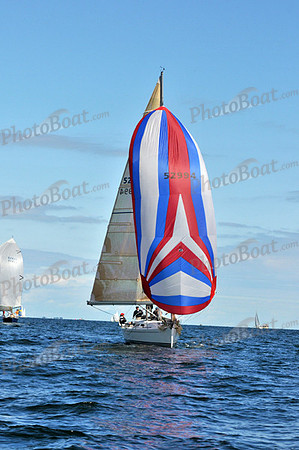 2010 IRC LIS 1619