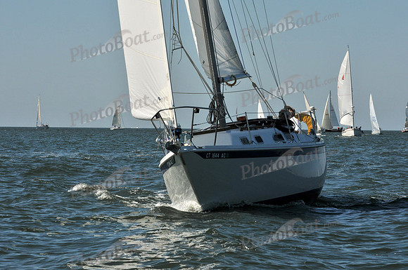 2010 Leukemia Cup 430