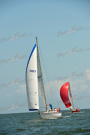 2015 Southern Bay Race Week C 1342