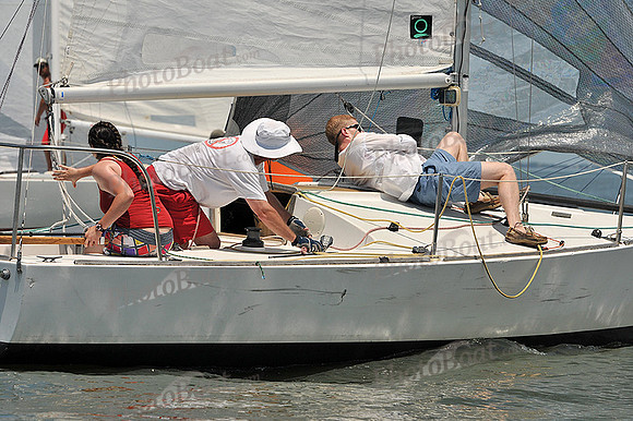 2013 Southern Bay Race Week A 442