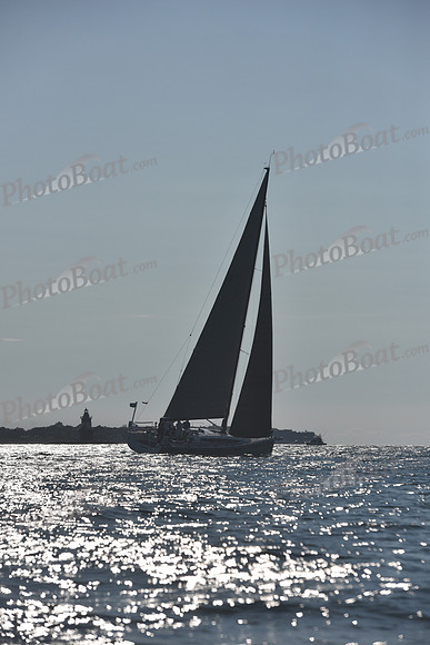 2021 Vineyard Race B 2349