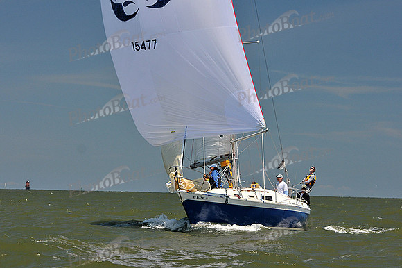 2014 Southern Bay Race Week D 1106