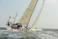 2015 Vineyard Race A 1688