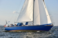 2019 ALIR_2398