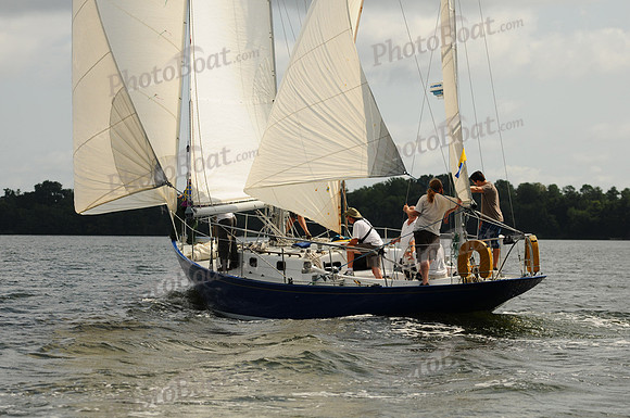 2011 Gov Cup D 047