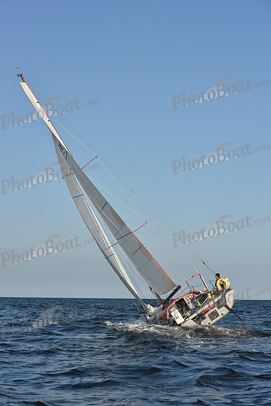 2019 ALIR_2155