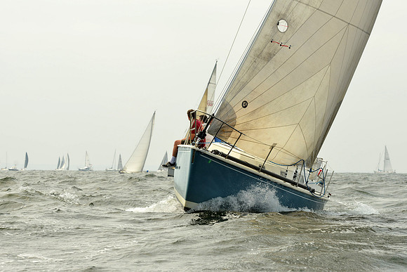2015 Vineyard Race A 272