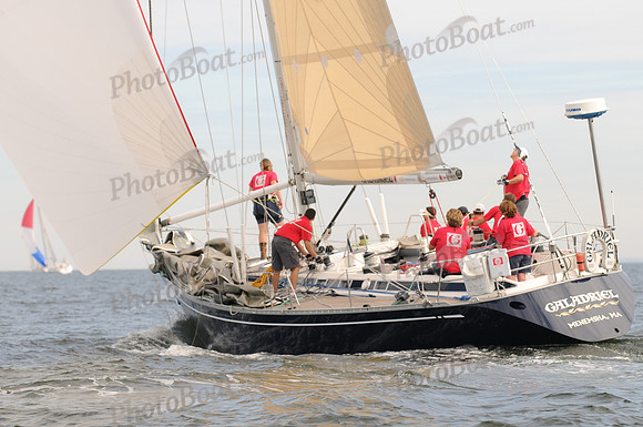 2009 Vineyard Race 488