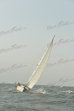 2015 Vineyard Race A 361