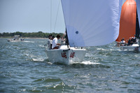446 Rapscallion