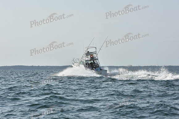 2019 Around Marthas Vineyard A_1689