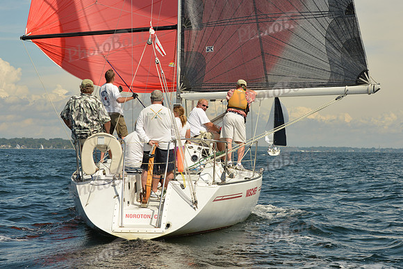 2015 Denmark Race A 963