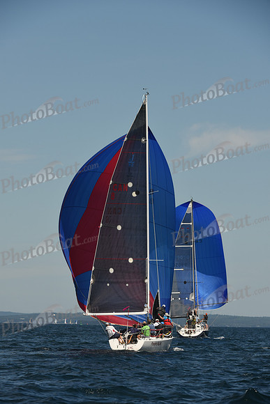 2016 Chester Race Week A_0404
