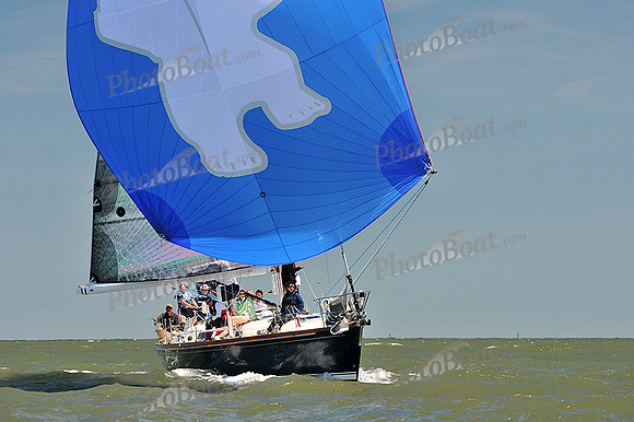 2014 Southern Bay Race Week D 1051