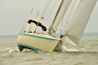 2016 Southern Bay Race Week A_1145