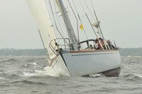2015 Vineyard Race A 1675