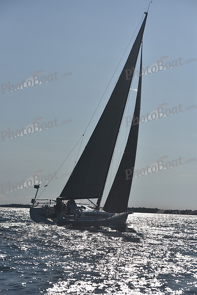 2021 Vineyard Race B 2305