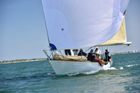 2019 Figawi_1195