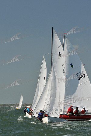 2012 Thistle Midwinters C 252