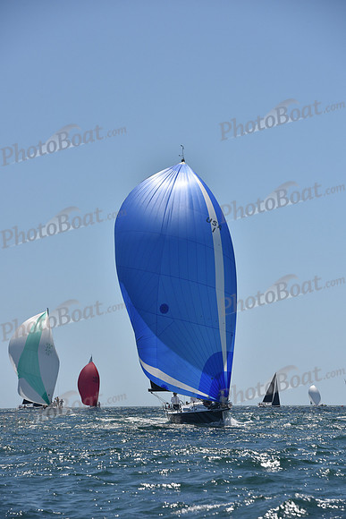 2019 Jfest C_0527