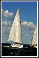 proof_2010_Vineyard_Race_0058