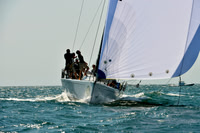 2016 NYYC Race Week A 1225