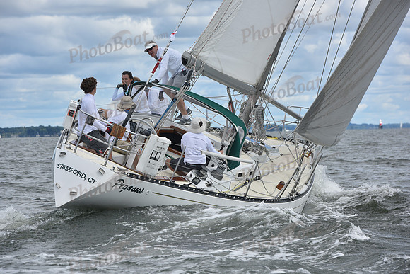 2021 Vineyard Race A 0291