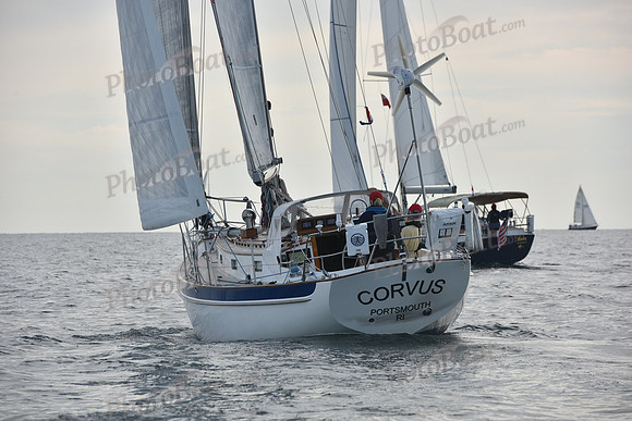 2019 Around Marthas Vineyard A_0405