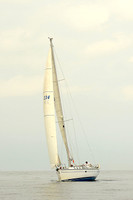 2013 Vineyard Race B 350